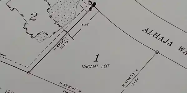 Image 2: Image 2