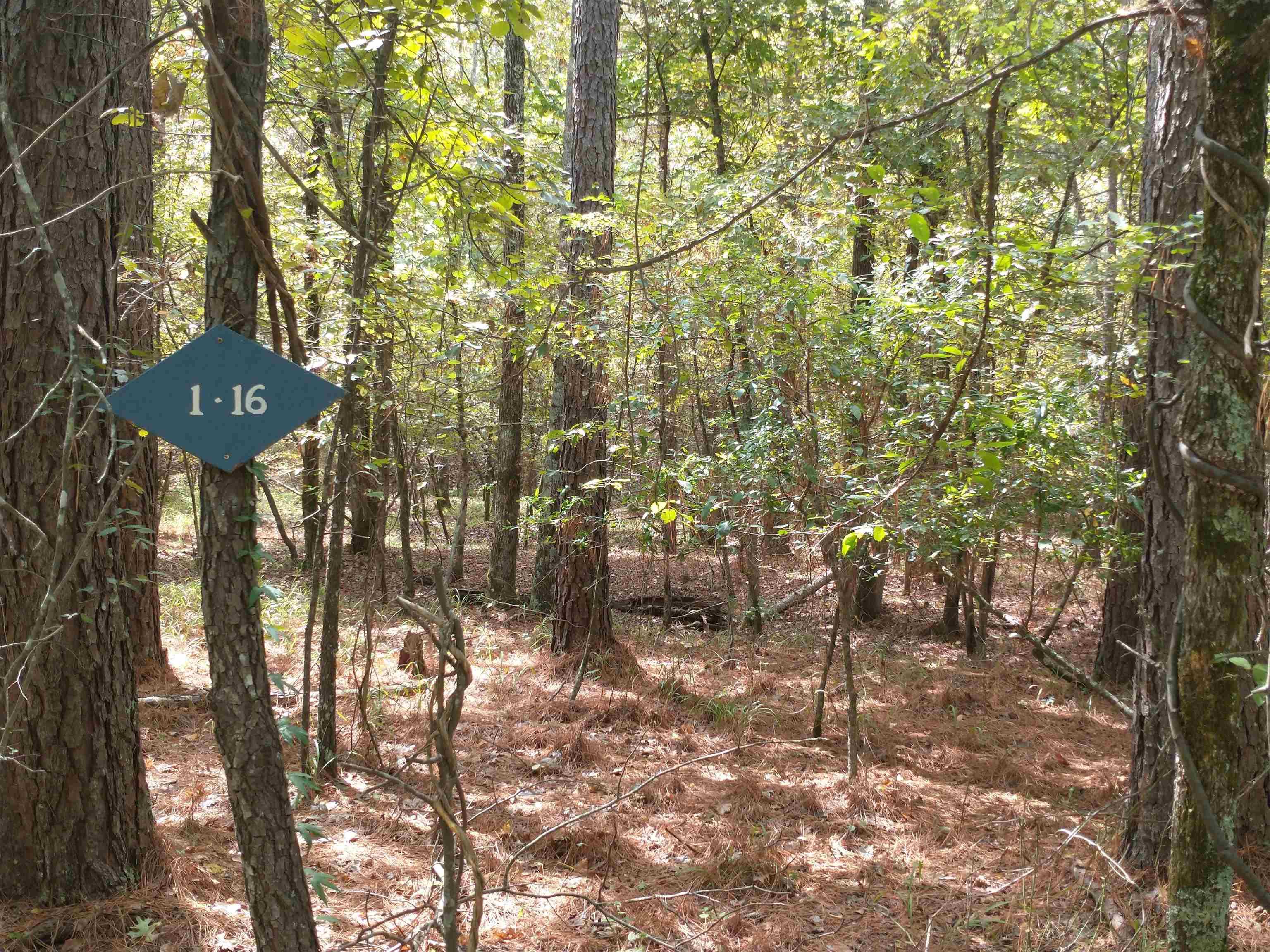 Image 3: Image 3