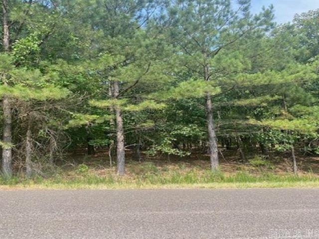 Image 1: Image 1