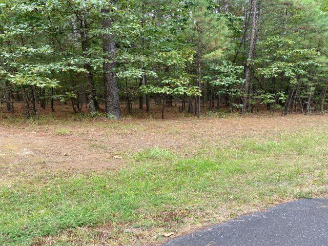 Image 1: Image 1