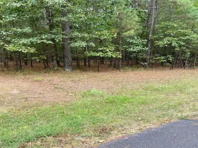 Image 1: Image 1