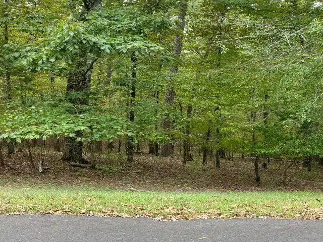 Image 1: Image 1