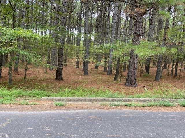 Image 1: Image 1