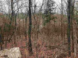 lot 9 block 4 Chesapeake