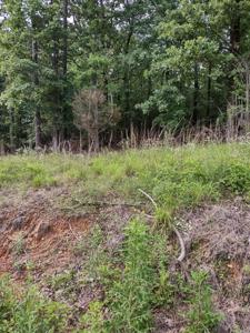 LOT 8 CIRCLE DRIVE