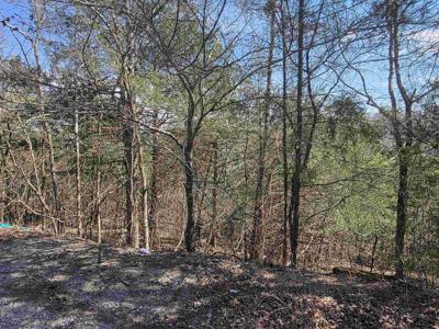 L24 B6 Chief Day Break Drive