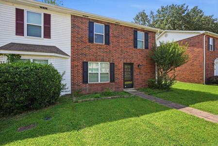 200 Pine Forest