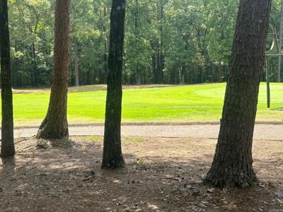LOT 370 Brunn Cove