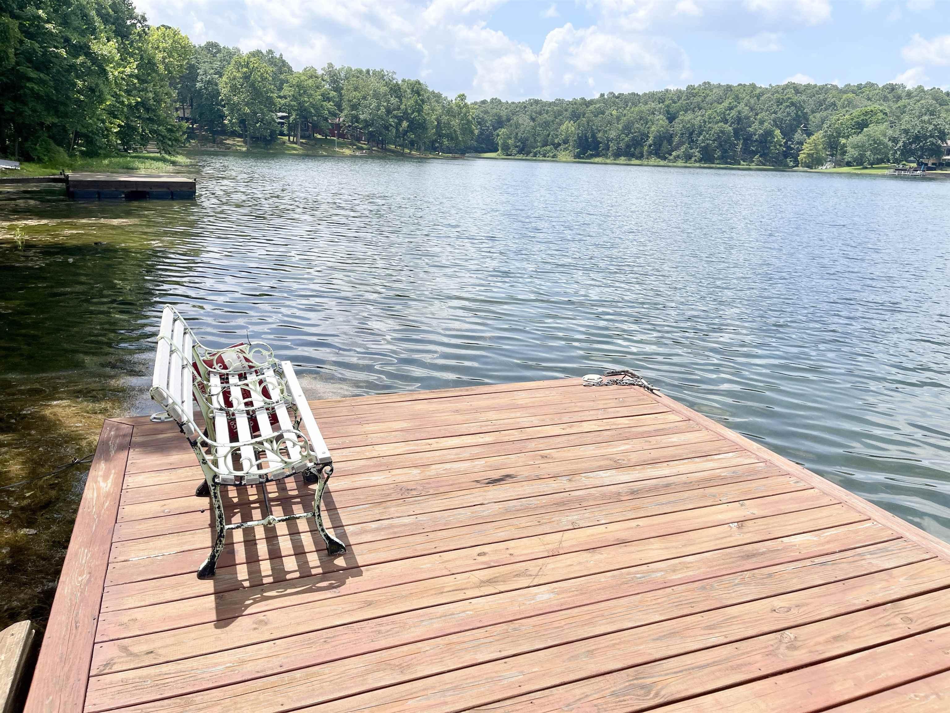 Image 1: PRIVATE DOCK WITH BENCH