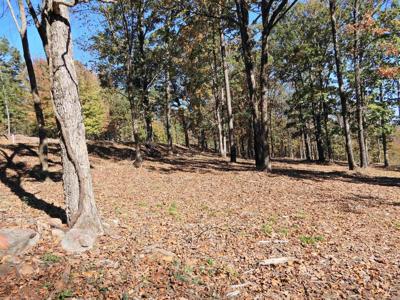 Lot 33, 34 & 35 Watersedge Drive