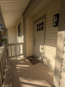 101 Pine Forest