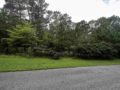 Lot 90 Cobalt Bay Drive