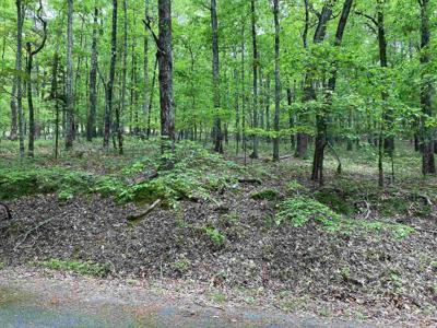 Lot 1 Blk 4 Almonte Way