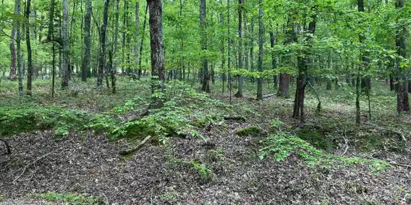 Lot 1 Blk 4 Almonte Way