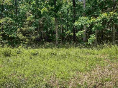 Lot 1008 Independence Drive