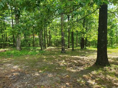 TBD (Lot 5) Brandon Drive