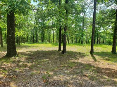 TBD (Lot 5) Brandon Drive
