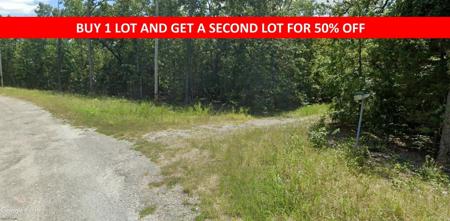 Lot 22 Towaoc Trail
