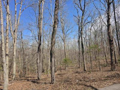 L18 B4 Powhatan Drive