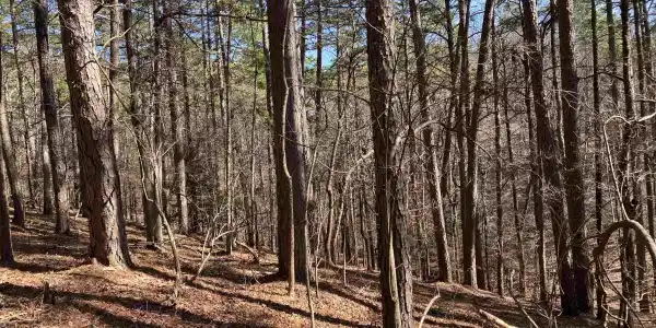 16 Hillside Trail