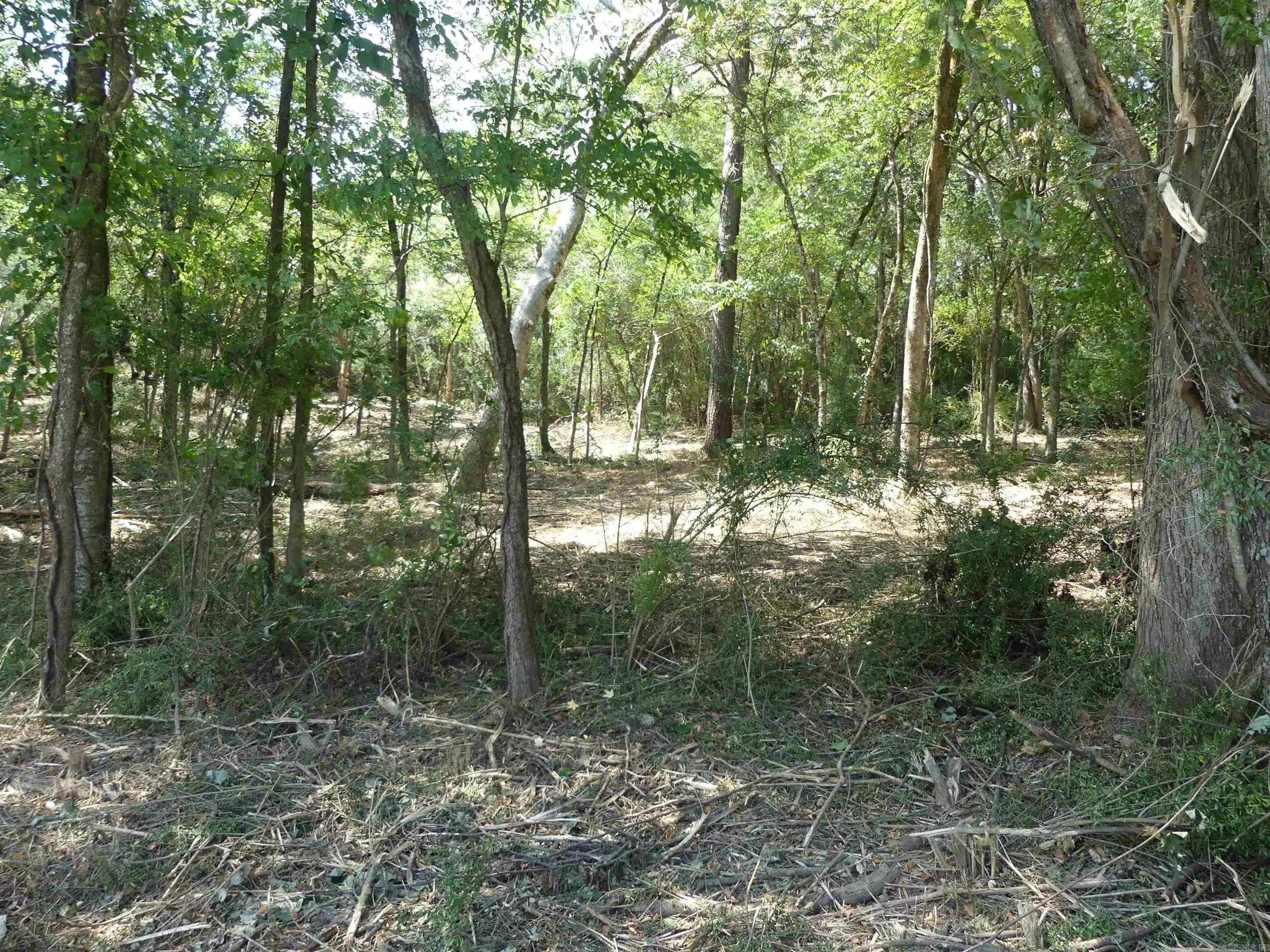 Image 0