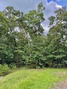 Lot 37 Primrose Creek