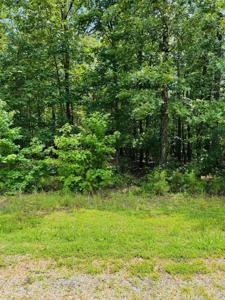 Lot 41 Primrose Creek