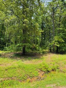 Lot 45 Primrose Creek