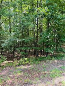 Lot 56 Primrose Creek
