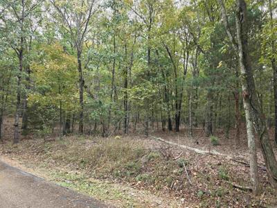 Lot 182 Tannenbaum Road