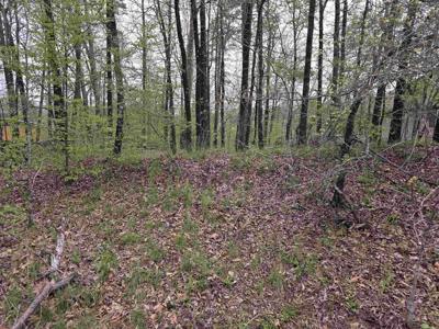 Lot 2238 Plum Hollow