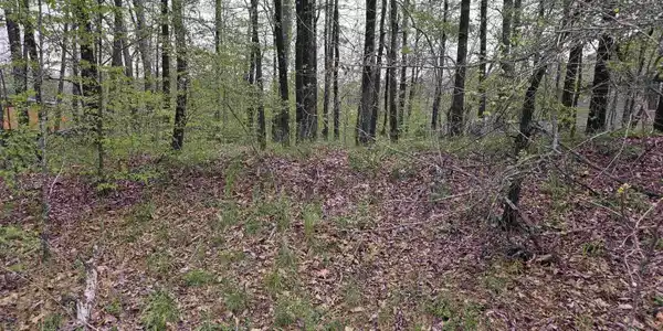 Lot 2238 Plum Hollow