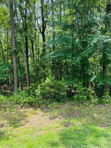 Lot 39 Primrose Creek