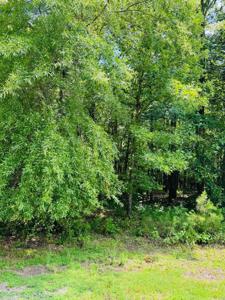 Lot 42 Primrose Creek