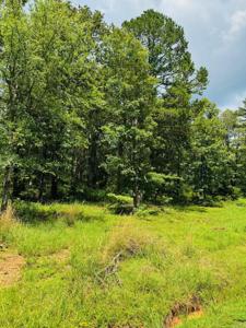 Lot 46 Primrose Creek