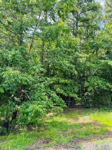 Lot 55 Primrose Creek