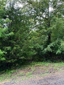 Lot 52 Primrose Creek