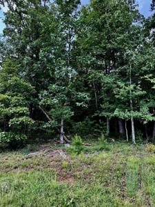 Lot 34 Primrose Creek