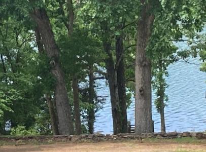 61 E Lakeshore Drive