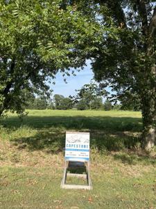 LOT 5 Craig Rd