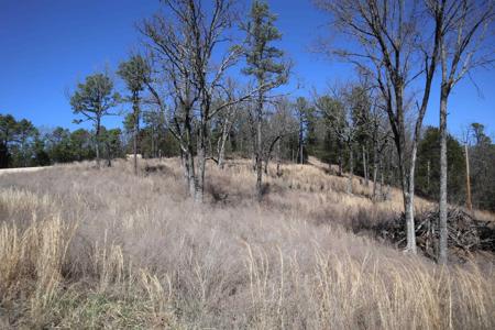 TBD Glade Hill Rd