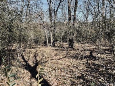 00 Faircove Loop