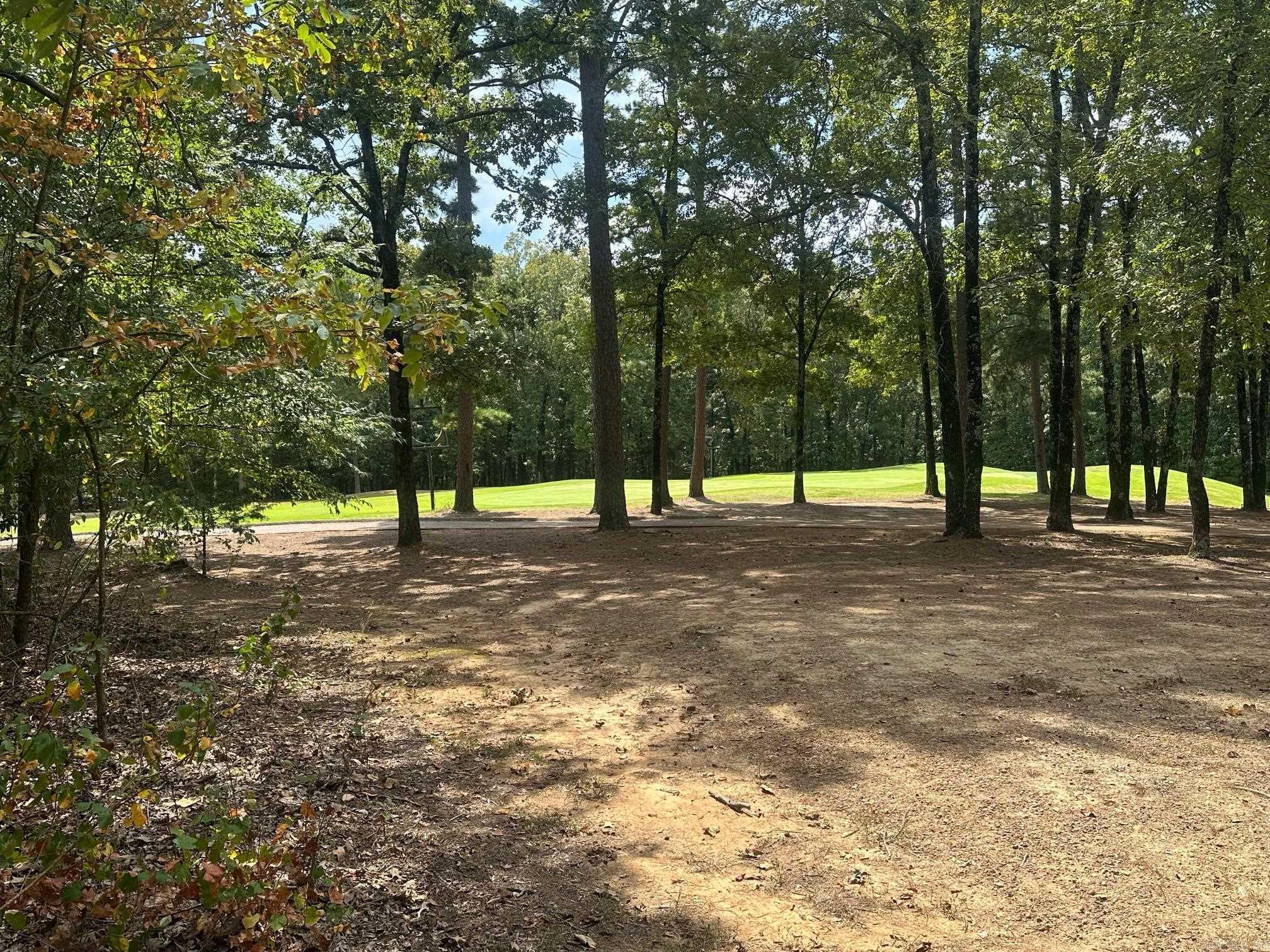 Image 2: Image 2