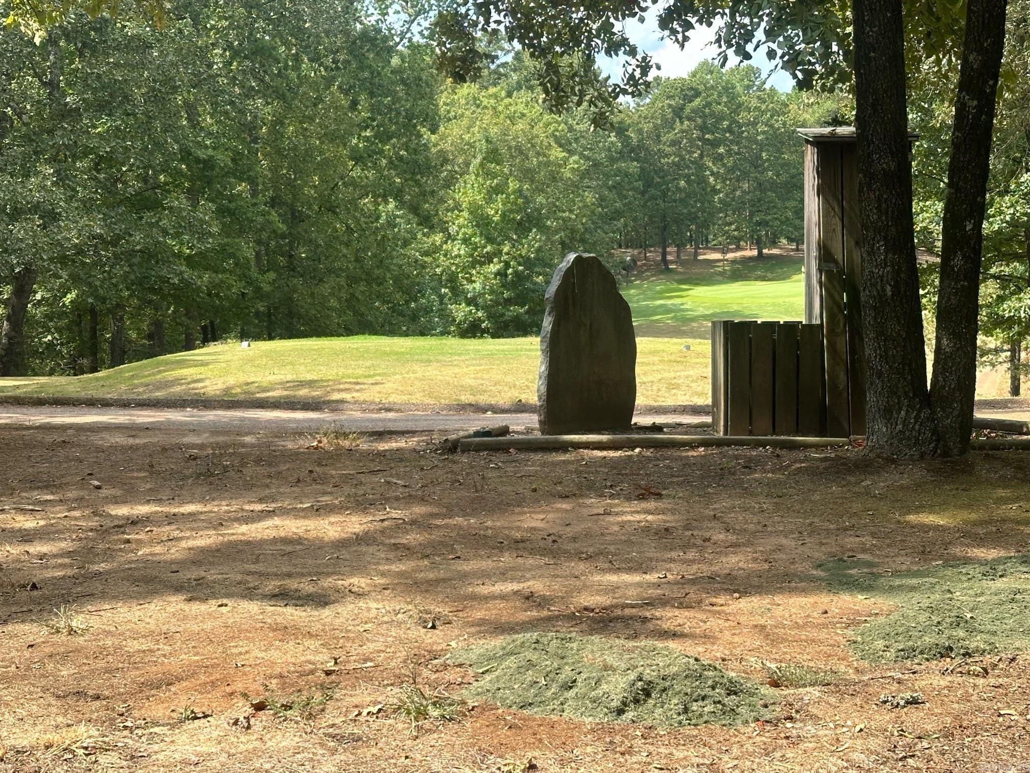 Image 3: Image 3