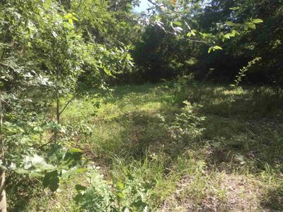 TBD Weeping Willow lane