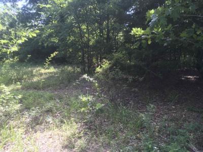 TBD Weeping Willow lane