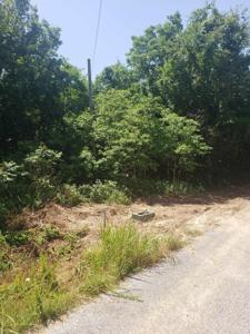 Lot 9 Longhorn Drive