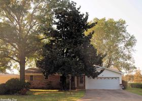 46 Shoshoni