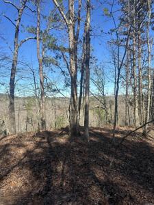 00M Walnut Valley Road