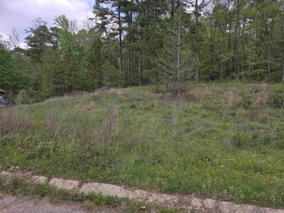 Lot 15 Blue Moon Terrace